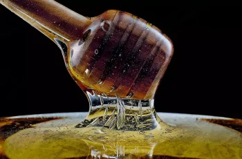 Honey Packs: Unveiling the Truth About Their Impact on Male Sexual Health
